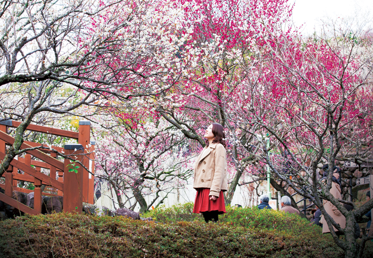 熱海梅園